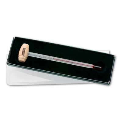 Image of Thermometer Ernest