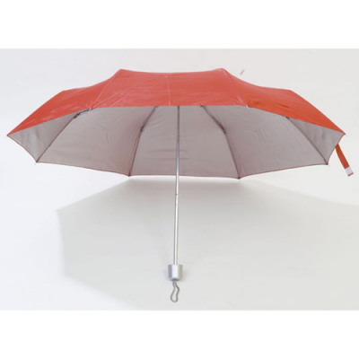 Image of Umbrella Susan