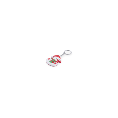 Image of Keyring Tridux