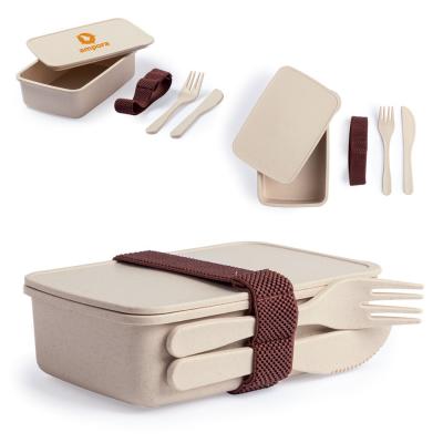 Image of Lunch Box Taxlam